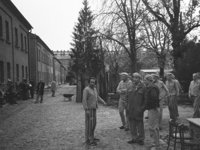 nas-aleksa-snima-u-poljskoj